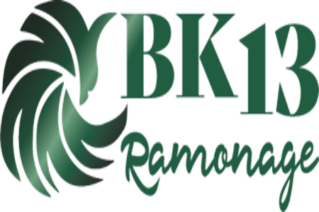 Entreprise BK13 RAMONAGE