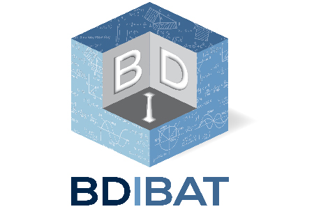 Entreprise BDIBAT