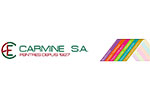 Entreprise ENTREPRISE CARMINE ET COMPAGNIE