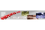 PROFIL 06