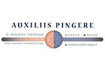 Auxiliis Pingere
