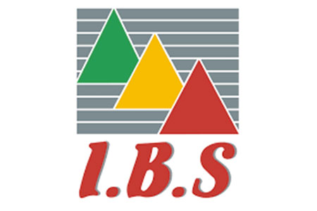 Entreprise IBS