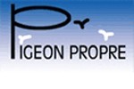PIGEON PROPRE