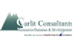 CARLIT CONSULTANTS