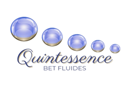 QUINTESSENCE / ENDLESS / METAMORPHOSE